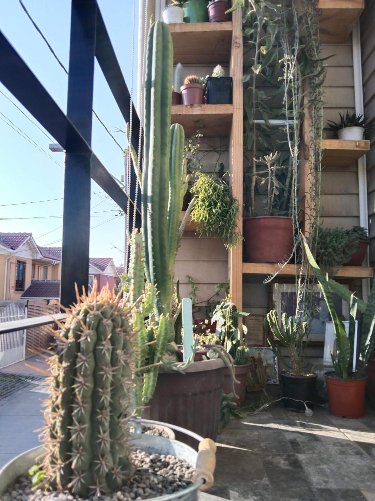 Hostel Tu Espacio Re - Habitaciones Cerca Del Aeropuerto 산티아고 외부 사진